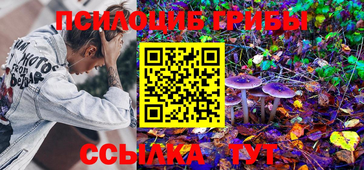 Новочебоксарск  Галлюциногенные грибы прущие грибы  Псилоцибиновые грибы MAGIC MUSHROOMS  Вход с VPN 